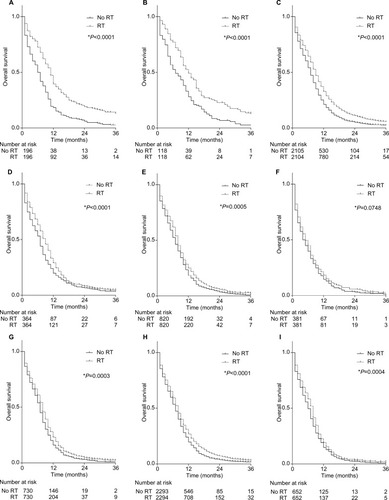 Figure 2 The effect of RT on the OS for metastatic SCLC patients after PSMa. (A) The effect of RT on the OS of SCLC with pleural effusion and (or) pericardial effusion; (B) the effect of RT on the OS of other M1a SCLC without pleural effusion and (or) pericardial effusion; (C) the effect of RT on the OS of all M1 SCLC; (D) the effect of RT on the OS of SCLC with lung metastasis; (E) the effect of RT on the OS of SCLC with bone metastasis; (F) the effect of RT on the OS of SCLC with brain metastasis; (G) the effect of RT on the OS of SCLC with liver metastasis; (H) the effect of RT on the OS of M1b SCLC; (I) the effect of RT on the OS of SCLC with more than one metastasis.Notes: *Using Gehan–Breslow–Wilcoxon test; aEntered in PSM were variables including age, gender, marital status, median family income, N stage, T stage, tumor size, surgery or not, and chemotherapy recode.Abbreviations: OS, overall survival; CSS, cancer-specific survival; PSM, propensity score matching; RT, radiotherapy.