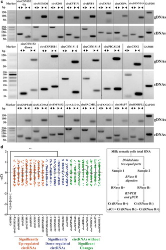 Figure 4. (Continued)