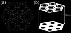 Figure 4. The calculation model from the (a) top view and (b) view from a different angle. The guard-ring structure is created only on a single side. The ring width, gap between the ring and hole, hole diameter, hole pitch, and thickness of the glass substrate, are 20, 20, 160, 280, and 680 μm, respectively. The dielectric constant is 6.28 for the PEG3 glass.