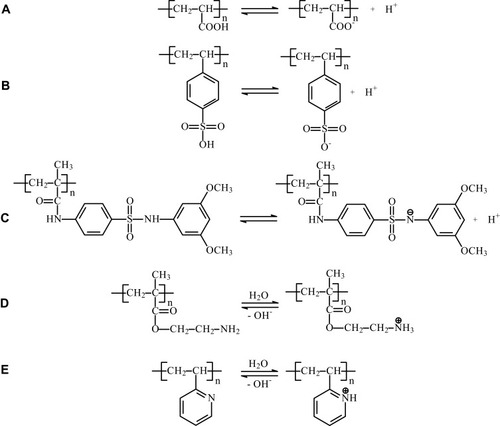 Figure 4 Acidic and basic properties of pH-sensitive smart polymers. (A) Polyacrylates (PAAc), (B) sulfonic acid derivatives (styrene sulfonic acid), (C) sulfonamides, (D) polyamines (PMAA), (E) pyridine derivatives (P2VP).