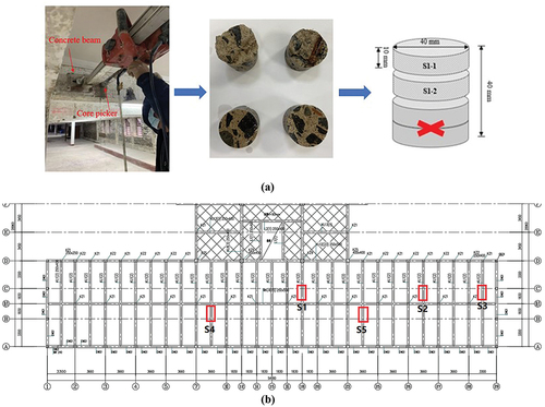 Figure 2. Illustration of sampling preparation (a) coring process (b) sampling locations.