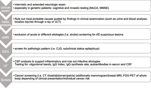 Figure 2 Proposed diagnostic approach in AE.Citation8,Citation12