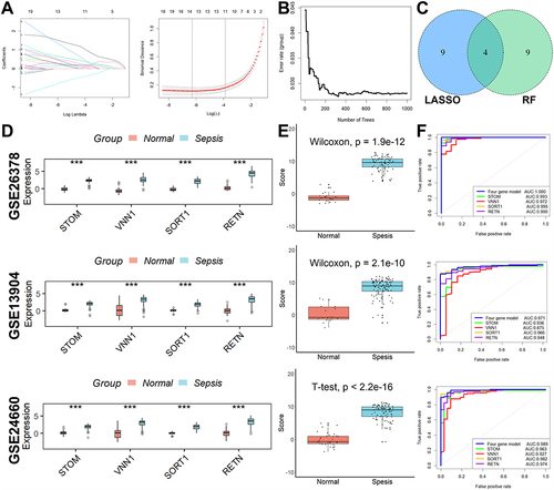 Figure 2 Lysosomal-related diagnostic markers construction and validation. (A) The LASSO regression analysis yielded a selection of the top 13 parameters. (B) The random forest analysis also identified 13 optimal parameters. (C) Four overlapped genes. (D) The expression of all four genes involved in the diagnostic model was higher in the sepsis group than in the normal group in all three cohorts. (E) The diagnostic model scores were significantly elevated in the sepsis group compared to the normal group in all three cohorts. (F) The diagnostic model showed good diagnostic ability. ***p < 0.001.