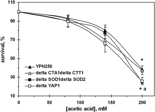Figure 5. Survival of S. cerevisiae YPH250 and its derivatives ΔCTA1ΔCTT1, ΔSOD1ΔSOD2, and ΔYAP1 under AA treatment. Data are mean ± SEM (n = 4–6). Significantly different from respective values obtained: *under treatment with 80 mM AA with P < 0.005 and afor YPH250 with P < 0.05.