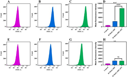 Figure 7. (A–C) Fluorescence of green FITC in Huh7 cells detected by flow cytometry. (D) Mean fluorescence intensity of Huh7 cells treated with PBS, H-MnO2-SRF-FITC, and H-MnO2-SRF-APT-FITC. (E–G) Fluorescence of green FITC in L02 cells detected by flow cytometry. (H) Mean fluorescence intensity of L02 cells treated with PBS, H-MnO2-SRF-FITC, and H-MnO2-SRF-APT-FITC.