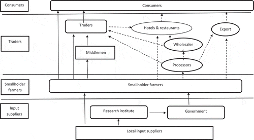 Figure 2. Linkages of ALV value chain actors in the Limpopo Province