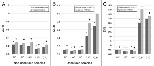 Figure 5. Influence of protease inhibitors in homogenization buffer on the amount of PrP226*. Samples were homogenized in buffer with (+) or without (-) of protease inhibitors. A450 values are shown for non-denatured (A) and denatured (B) samples.