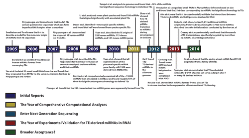 Figure 2. Timeline illustrating published reports of microRNAs originating from TEs. Beginning in 2005 with the first description of the mechanism by which adjacent TE insertions could result in miRNA formation, 23 papers spanning almost a decade are listed in chronological order including the most recent publications as of this writing. Colors corresponding to the categories of research progress as used in this review are shown for clarity and reference.