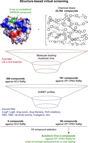 Figure 7 Schematic workflow for the hit-compound selection.