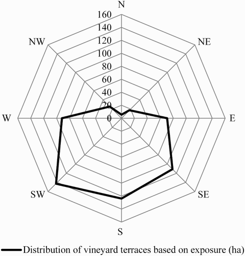 Figure 3. Distribution of vineyard terraces based on exposure.