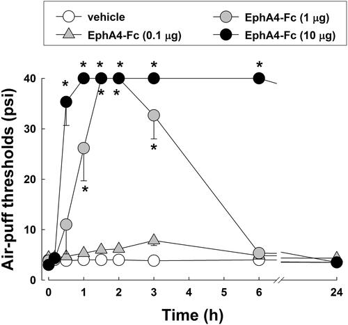 Figure 2 Effects of a single treatment with EphA4-Fc, an EphA4 receptor antagonist, on mechanical allodynia in rats with inferior alveolar nerve injury on POD3. Intracisternal administration of EphA4-Fc (1 or 10 μg) produced anti-allodynic effects compared with that of the vehicle. The values shown are the mean ± SEM. There were 8 animals in each group. *P < 0.05, vehicle vs EphA4-Fc-treated group.