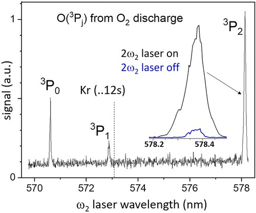 Figure 2. O+ total ion yield spectrum on scanning the ω2 laser wavelength to generate tunable VUV in the vicinity of the 3s3S1o resonance of O(3Pj) atoms.