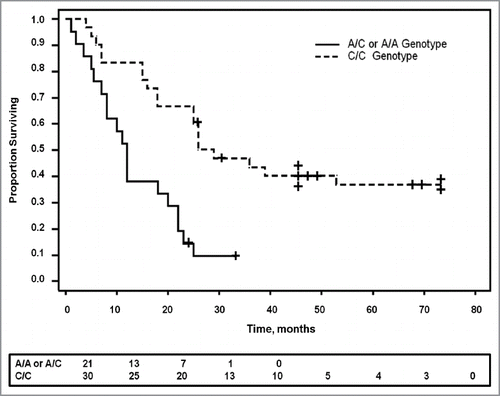 Figure 4 The SNP genotype correlates with survival. Kaplan Meier survival curve shows significantly prolonged survival in patients with pancreatic cancer who have the C/C genotype compared with those with either the A/A or the A/C genotype (p = 0.0001). Patients still alive at the last censored date is shown by a + on the survival curve. The number of patients surviving at different time intervals is displayed below the curve.