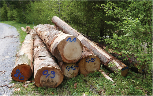 Figure 2. Weighed logs for load formation at the Buriwand (BW) cable road. The numbers on the logs indicate the weight of the single logs in tons [t]. Please note that both comma and point are used as a decimal point and that the 0.8 is upside-down (reads 8.0 but is 0.8 in reality) (photo: Leo Bont).