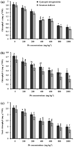 Figure 1. Effect of Pb stress on photosynthetic pigments chlorophyll-a (a) chlorophyll-b (b), and total chlorophyll (a + b) (c), on C. tertragonoloba and S. indicum after 12-week growth in soil medium with varying concentrations of Pb.