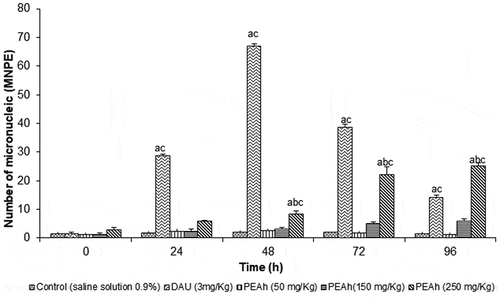 Figure 2. Frequency of micronucleated polychromatic erythrocytes (MNPE) in mice treated with the protein extract of Amaranthus hypochondriacus seeds (PEAh) and daunorubicin (DAU).Figura 2. Frecuencia de eritrocitos policromáticos micronucleados (MNPE) en ratones tratados con el extracto proteico de semillas de Amaranthus hypochondriacus (PEAh) y daunorrubicina (DAU)