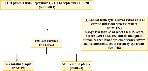 Figure 1 The flow chart of screening patients.