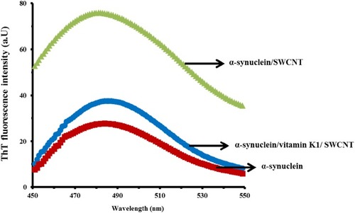 Figure 2 ThT fluorescence signal of α-syn with or vitamin K1 in the presence of SWCNTs.