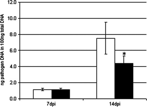 Figure 2.  Infection of barley with Rhynchosporium secalis. Barley seedlings were inoculated with Pseudomonas sp. DSMZ 13134 (black columns) or mock treated (white columns) and additionally infected with Rhynchosporium secalis. Analysis was done by qRT-PCR at 7 and 14 dpi. Data represent the means and SD of three biological replicates containing four plants. Asterisk (*) denotes statistically significant; t-test; p<0.05; dpi = day post inoculation with the pathogen.