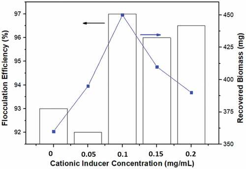 Figure 4. Effect of cationic inducer on bioflocculation.