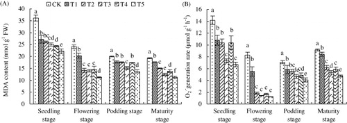Figure 3. Effects of exogenous SNP on the content of MDA and O2•−generation rate of peanut leaves at seedling, flowering, podding, and maturity stages.Note: Different lower case letters indicate a significant difference (P < 0.05) between the treatments. The values are means ± SD of three replicate samples per treatment. CK: the calcareous soil without supplying SNP; T1: 35.8 mg SNP applied into calcareous soil directly; T2: 35.8 mg SNP added into a slow-release capsule (cap length: 6.0 ± 0.30 mm, body length: 9.5 ± 0.30 mm) (SRC), then applied into calcareous soil; T3: 35.8 mg SNP made into made into slow-release particles (diameter: 3–4 mm) (SRP), then applied into calcareous soil; T4: 35.8 mg SNP added into a slow-release bag (length: 10 mm, width: 10 mm) (SRB), then applied into calcareous soil; T5: foliar application of peanut leaves with 1.0 mM SNP every three days and proceeded for three successive times at each critical growth stage (seedling, flowering, podding, and maturity) with 10 mL every time.