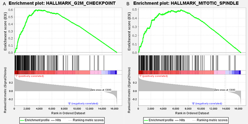 Figure 2 GSEA analysis illustrated up-regulated gene sets in the late stage HCC. (A) G2M_checkpoint; (B) mitotic_spindle.