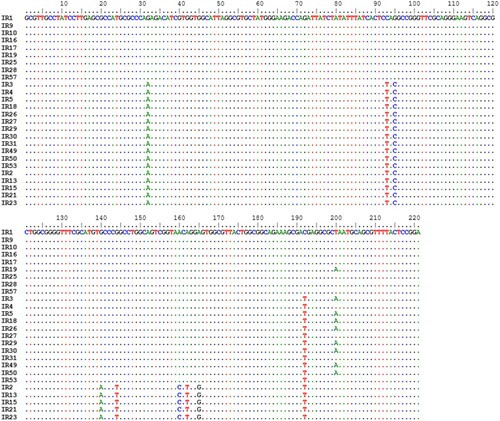 Figure 4. Alignment and comparison of nucleotide sequences of the icIR gene amplicons of salmonella isolates/strains using CLUSTAL W. Identical nucleotides are shown by ‘.’