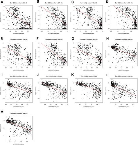 Figure 9 (A–G) The correlation of methylation sites and gene DCAF12L1 expression; (H–M) the correlation of methylation sites and gene MSX1 expression.