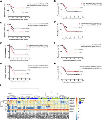 Figure 2. Relationship between expression levels of eight candidate differentially expressed miRNAs and progression-free survival (PFS) in the initial sample group. A. Relationship between miR-1260b expression and prognosis of patients, p = 0.001. B. Relationship between miR-21-3b expression and prognosis of patients, p = 0.02. C. Relationship between miR-4514 expression and prognosis of patients, p = 0.024. D. Relationship between miR-4659a-3p expression and prognosis of patients, p = 0.009. E. Relationship between miR-2467-3p expression and prognosis of patients, p < 0.001. F. Relationship between miR-3621 expression and prognosis of patients, p = 0.026. G. Relationship between miR-1471 expression and prognosis of patients, p = 0.013. H. Relationship between miR-92a-3p expression and prognosis of patients, p = 0.011. I. Heatmap of eight candidate miRNAs. The abscissa is the case and the ordinate is eight candidate miRNAs.