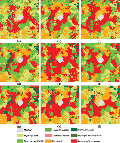 Figure 9. Classification map of the INWS with different patch sizes for plot 13 as an example. (a): 3 × 3. (b): 5 × 5. (c): 7 × 7. (d): 9 × 9. (e): 11 × 11. (f): 13 × 13. (g): 15 × 15. (h): 17 × 17. (i): 19 × 19.