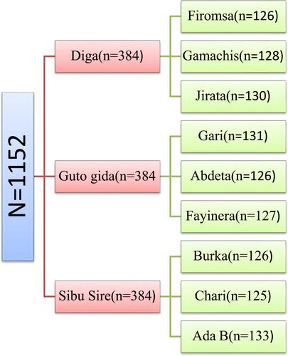 Figure 2 Sample size of each district and each village.