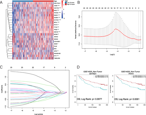 Figure 5 DHTKD1 and PHYH play important roles in the prognosis of non-tumor tissues. (A). Heat map of the expression of 24 DELRGs in the high and low LR score group in non-tumor tissues of the GSE14520 dataset. (B and C). 2 signature LR genes were selected by LASSO Cox regression analysis. (D). Higher expression of DHTKD1 and PHYH has better prognosis in non-tumor tissues of the GSE14520 dataset.