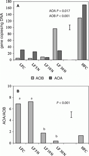Figure 6  A, Gene copies of amoA from ammonia oxidizing bacteria (AOB) and from ammonia oxidizing archaea (AOA) per ng of extracted DNA in the control (C) and urea-amended (5 N, 10 N, 30 N) plots at LF and HFC. Error bars (15) show LSD for AOA. LSD for AOB is 14. B, Ratio AOA/AOB calculated from 6A.