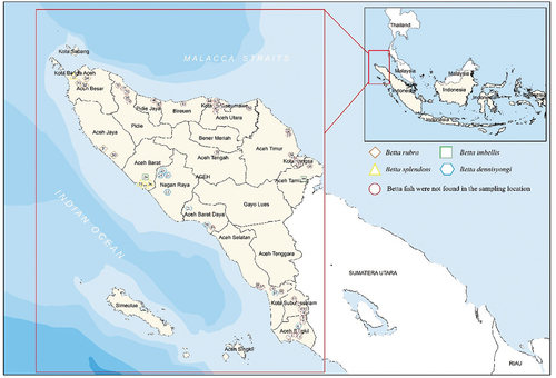 Figure 1. Map of Aceh Province showing sampling sites conducted during January 2019 to January 2021. Aceh Singkil (1–8), Kota Subulussalam (9–13), Aceh Selatan (14–18), Aceh Barat Daya (19–21), Nagan Raya (22–25), Aceh Barat (26–29), Aceh Jaya (30–31), Aceh Besar (32–34), Banda Aceh (35), Pidie (36–40), Pidie Jaya (41–42), Bireuen (43), Kota Lhokseumawe (44–49), Aceh Utara (50), Aceh Tengah (51), Aceh Timur (52–54), Kota Langsa (55–57), and Aceh Tamiang (58–59).