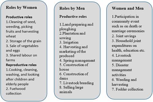 Figure 4. Gender differentiated roles and responsibilities in the Rain-fed Punjab (Source: KIIs, 2020).