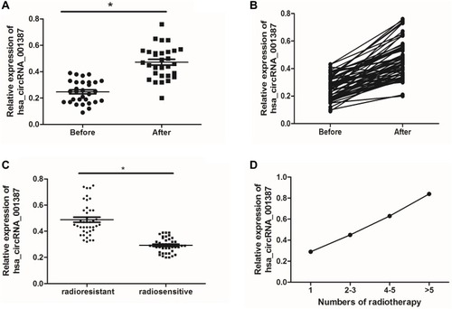 Figure 3 Expression of hsa_circRNA_001387 in NPC patients after radiotherapy. (A and B) show the expression of hsa_circRNA_001387 in NPC patients before and after radiotherapy, respectively. (C) shows hsa_circRNA_001387 expression in radio-sensitive and radio-resistant NPC patients. (D) shows hsa_circRNA_001387 expression in NPC patients after different numbers of radiotherapy. *p<0.05, the pre-radiotherapy group versus radiotherapy-sensitive group.