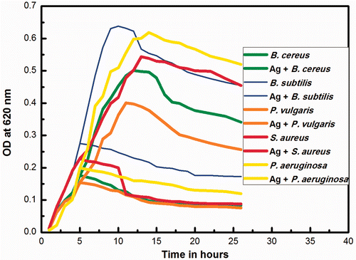 Figure 9. Growth kinetics of different microorganisms in the presence and absence of biosynthesised silver nanoparticles.