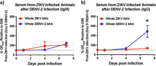Fig. 4 ZIKV infected animals display delayed binding antibody responses after DENV-2 infection.Kinetics of binding antibody (bAb) responses against DENV-2 in serum showing relative levels of (a) IgM and (b) IgG against DENV-2 using serum that was collected longitudinally from ZIKV-infected animals 1, 4, and 7 days after DENV-2 infection (n = 5). Percentage OD450 values relative to each animals day 56 post-ZIKV infection (day 0 DENV-2) values are shown. Line represents day 0 vales. Statistical significance was determined using multiple unpaired t-tests and corrected for multiple comparisons using the Holm-Sidak method. A p < 0.05 was considered significant and * indicates significant difference between groups