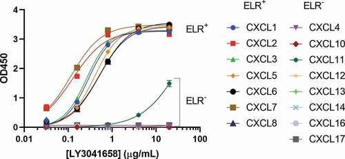 Figure 4. Binding of LY3041658 is highly specific for ELR+CXC chemokines. Data shows strong binding of LY3041658 to the human ELR+CXC chemokines coated on an ELISA plate, but not to the ELR−CXC chemokines. CXCL11 is the only ELR−CXC chemokine which shows any binding, and it is significantly weaker compared to the ELR+CXC chemokines. CXCL9 could not be analyzed due to significant nonspecific background signal. Data represent the mean ± SEM blank subtracted OD values for duplicate wells within a single ELISA plate. Curve fits are four parameter logistic curve fits made using GraphPad Prism 8.3