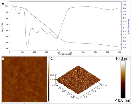 Figure 6 (A) TG/DTG analysis of the biosynthesized SSP-AuNPs; and AFM analysis of the biosynthesized SSP-AuNPs (B) 2D image and (C) 3D image.