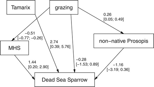 Figure 2. Path analysis used for the Dead Sea Sparrow occurrence probability, with estimated slopes for the simple linear regressions of P. juliflora and mean shrub height (MHS) on grazing, and with estimated partial effects of a logistic regression (with logit-link) predicting Dead Sea Sparrow occurrence from the other four variables. Numeric variables centred and scaled. Values are point estimates and 95% intervals in brackets.