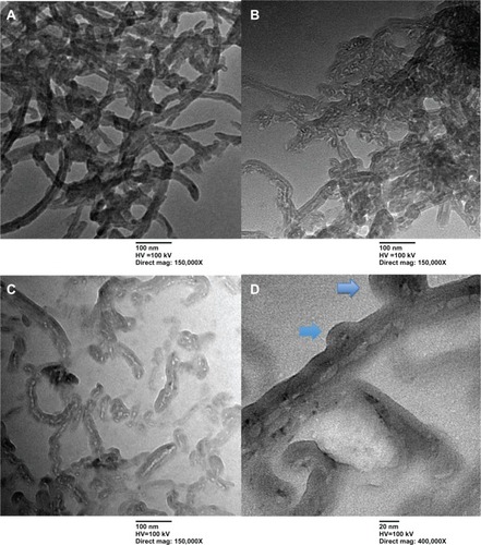 Figure 1 Transmission electron microscopy images of multiwalled (A) oxidized, (B) heparin, and (C) polyglycolic acid (PGA) carbon nanotubes at low magnification (mag), and (D) multiwalled PGA carbon nanotubes at high magnification. The arrows in (D) denote the formation of polymeric micelles on the multiwalled carbon nanotubes (MWCNTs).