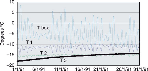 Fig. 3  Example of daily cycle recorded at the four temperature sensors of the CONT station in January 1991 (redrawn from Gambino Citation2005).