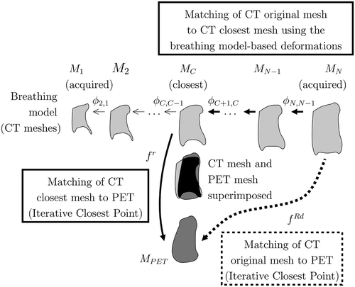 Figure 9. Matching framework of the PET (MPET) and the original CT (MN): The MC mesh is the closest to the MPET mesh. We can match landmark points between MPET and MN by following one of the two paths. The proposed method corresponds to the bold line.