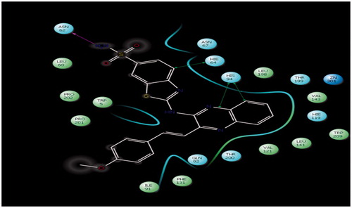 Figure 3. Lig plot of compound 4c showing interaction into the binding sites of carbonic anhydrase enzyme (PDB code: 4KUV), hydrogen bond (pink dotted line on top left) with ASN62 (2.12 Å) and pi–pi interaction (green solid line shown as three arrows on right) with HIE64 (4.30 Å) and HIS94 (5.43 Å and 4.78).