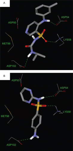 Figure 3.  Docked poses of (A) torsemide and (B) sulfadiazine in Hsp90.