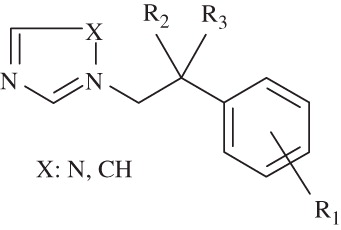 Figure 1. Common structure of azole antifungals.