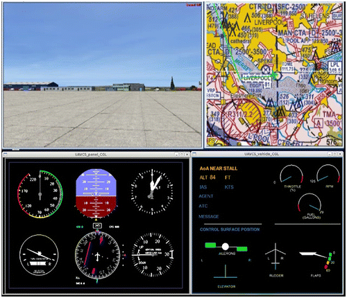 Figure 1. Standard set of screens used to create the vignette videos.