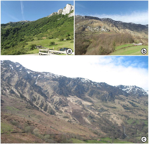 Figure 8. (a) The great fragmentation of the non-arboreous plant formations makes its mapping very difficult. (b) The activity of the snow avalanches also favours this fragmentation, preventing the evolution of the areas of scrubland and forest. (c) In spring, the effects of snow avalanches disturbances are easily distinguished by the brightness of the crushed and burned grass by the snow.