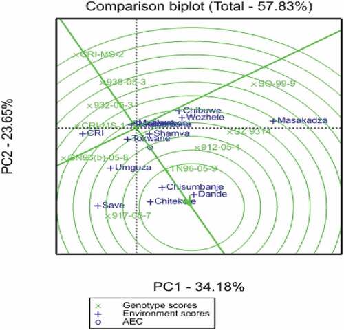 Figure 1. Comparison biplot showing the ideal genotype for different cotton genotypes.